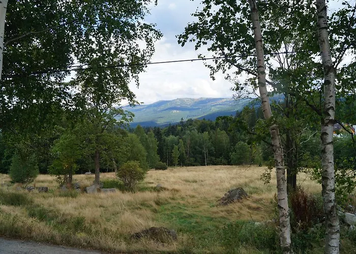 아파트 Misiowka *