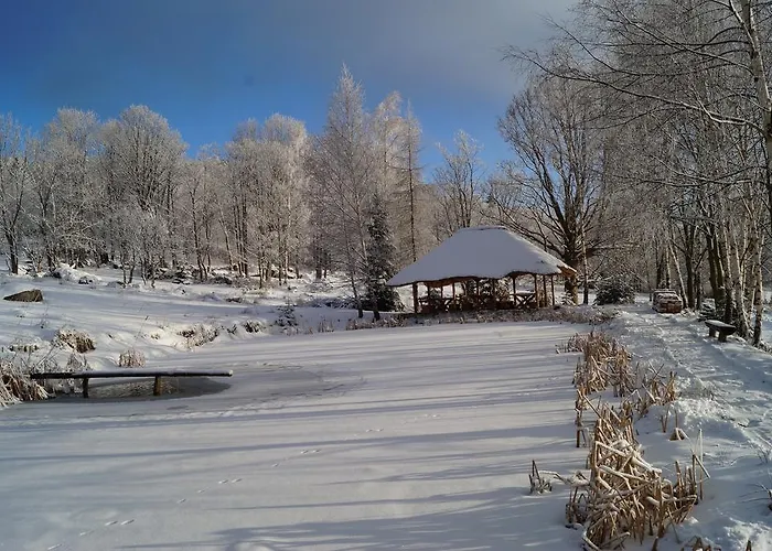 Apartment Misiowka *
