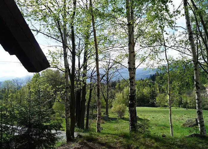 Misiowka Apartment *